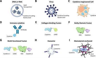 Intratumoral injection and retention hold promise to improve cytokine therapies for cancer